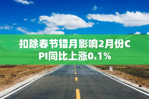 扣除春节错月影响2月份CPI同比上涨0.1%