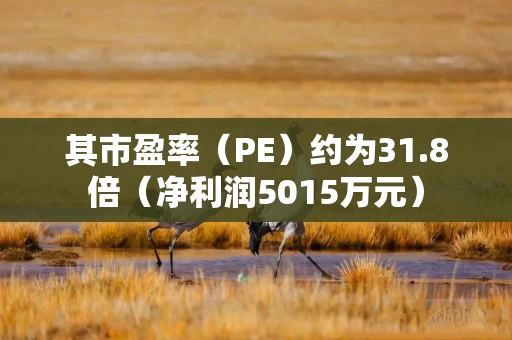 其市盈率（PE）约为31.8倍（净利润5015万元）