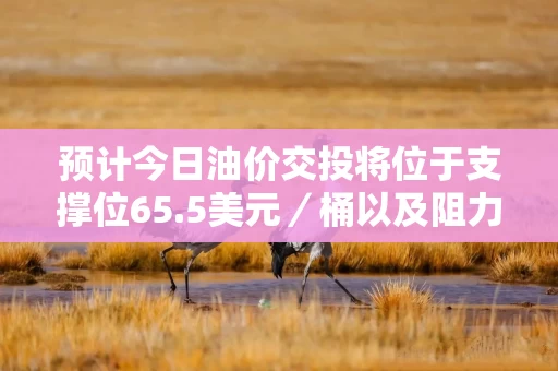预计今日油价交投将位于支撑位65.5美元／桶以及阻力位67.5美元／桶之间