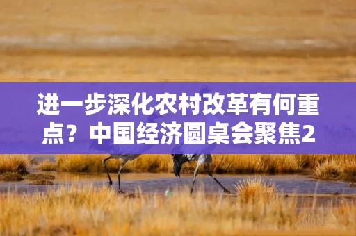 进一步深化农村改革有何重点？中国经济圆桌会聚焦2025年中央一号文件