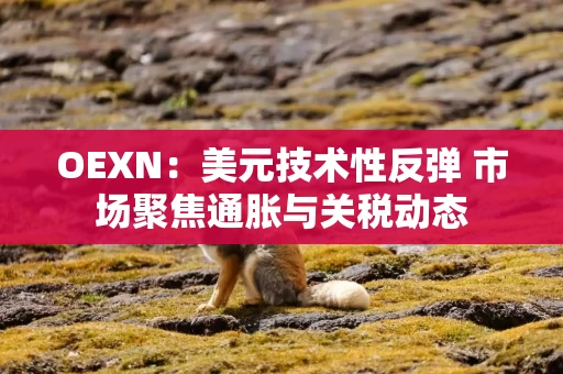 OEXN：美元技术性反弹 市场聚焦通胀与关税动态