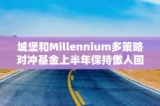 城堡和Millennium多策略对冲基金上半年保持傲人回报率