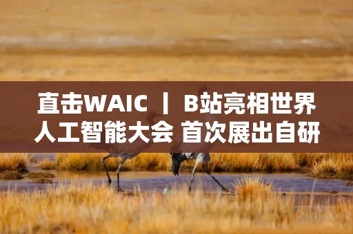 直击WAIC 丨 B站亮相世界人工智能大会 首次展出自研大语言模型