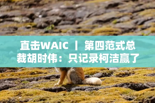 直击WAIC 丨 第四范式总裁胡时伟：只记录柯洁赢了李世石几个棋，教不会计算机下象棋的