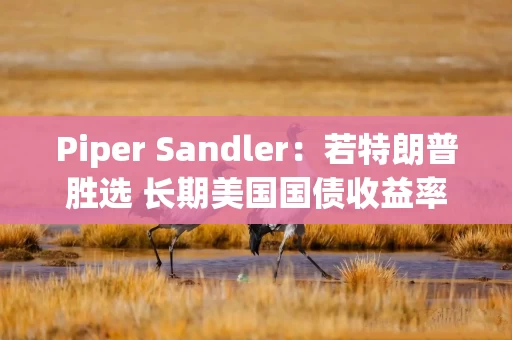 Piper Sandler：若特朗普胜选 长期美国国债收益率将飙升