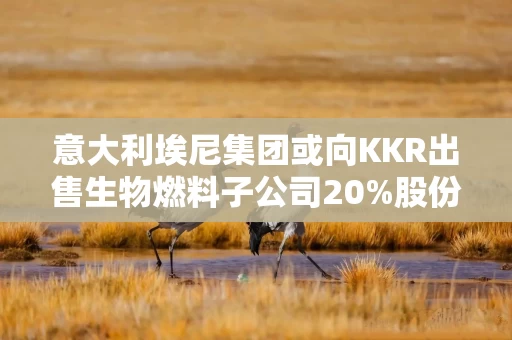 意大利埃尼集团或向KKR出售生物燃料子公司20%股份