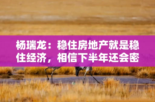 杨瑞龙：稳住房地产就是稳住经济，相信下半年还会密集出台一些房地产政策