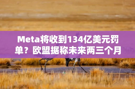 Meta将收到134亿美元罚单？欧盟据称未来两三个月或会发布决定