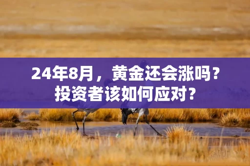 24年8月，黄金还会涨吗？投资者该如何应对？