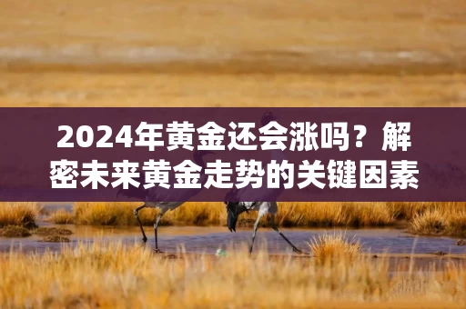 2024年黄金还会涨吗？解密未来黄金走势的关键因素