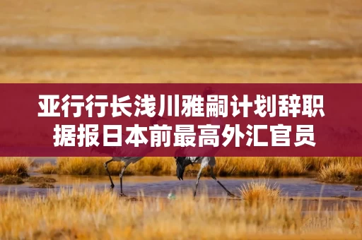 亚行行长浅川雅嗣计划辞职 据报日本前最高外汇官员神田真人将接任