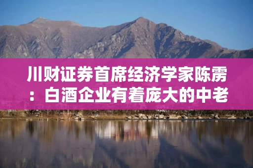 川财证券首席经济学家陈雳：白酒企业有着庞大的中老年消费群体，对GDP的贡献不言而喻