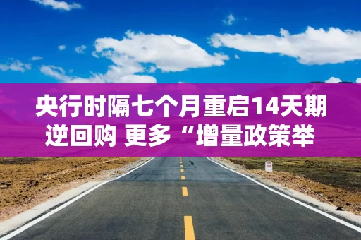 央行时隔七个月重启14天期逆回购 更多“增量政策举措”何时推出？