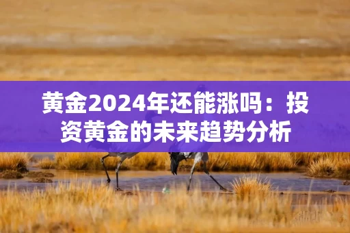 黄金2024年还能涨吗：投资黄金的未来趋势分析