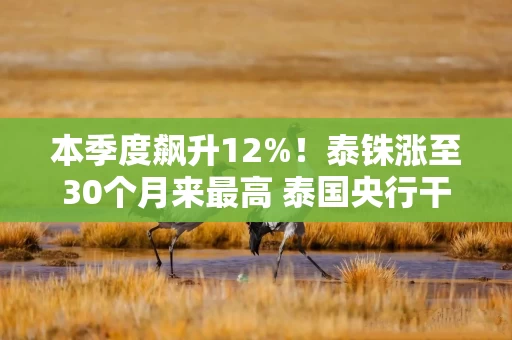 本季度飙升12%！泰铢涨至30个月来最高 泰国央行干预压力增加