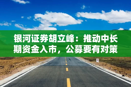 银河证券胡立峰：推动中长期资金入市，公募要有对策