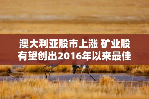 澳大利亚股市上涨 矿业股有望创出2016年以来最佳单周表现