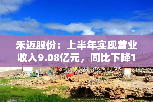 禾迈股份：上半年实现营业收入9.08亿元，同比下降14.78%