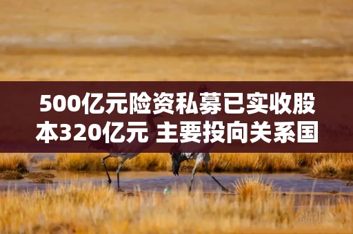 500亿元险资私募已实收股本320亿元 主要投向关系国计民生的重点行业