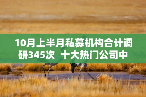 10月上半月私募机构合计调研345次  十大热门公司中现3只“牛股”