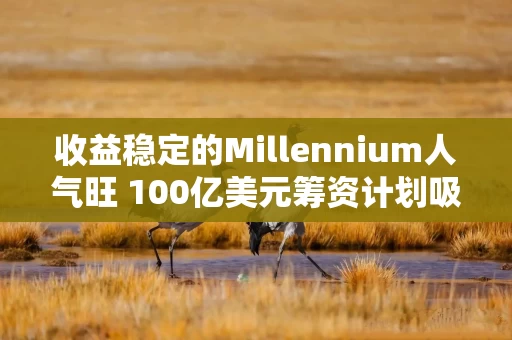 收益稳定的Millennium人气旺 100亿美元筹资计划吸引200亿美元资金