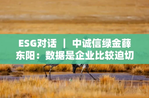 ESG对话 ｜ 中诚信绿金薛东阳：数据是企业比较迫切的需求