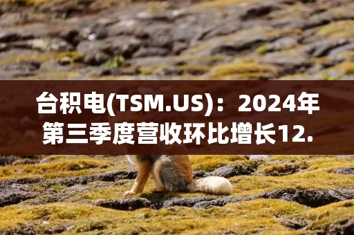 台积电(TSM.US)：2024年第三季度营收环比增长12.8%，毛利率提升至57.8%