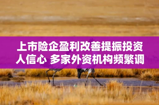 上市险企盈利改善提振投资人信心 多家外资机构频繁调仓内险股，背后酝酿第二波攻势？