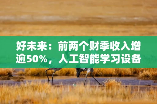 好未来：前两个财季收入增逾50%，人工智能学习设备业务快速增长