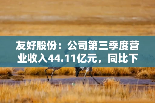 友好股份：公司第三季度营业收入44.11亿元，同比下降5.62%