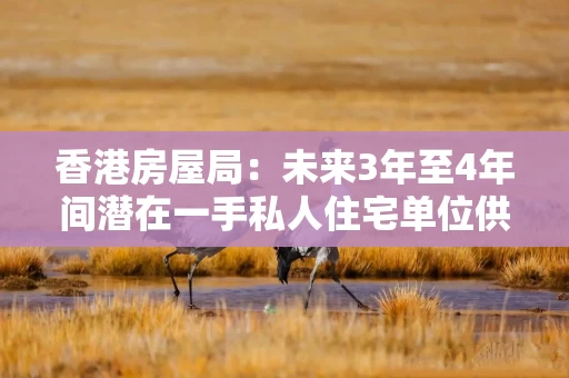 香港房屋局：未来3年至4年间潜在一手私人住宅单位供应减至10.8万个