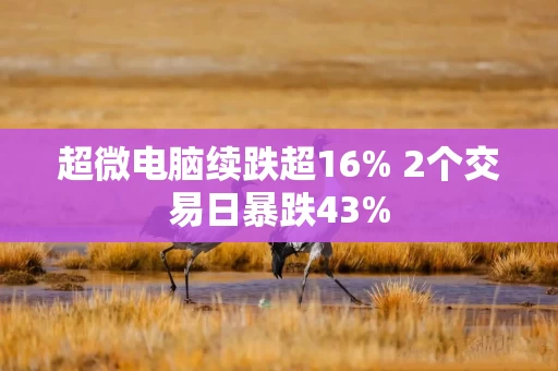 超微电脑续跌超16% 2个交易日暴跌43%