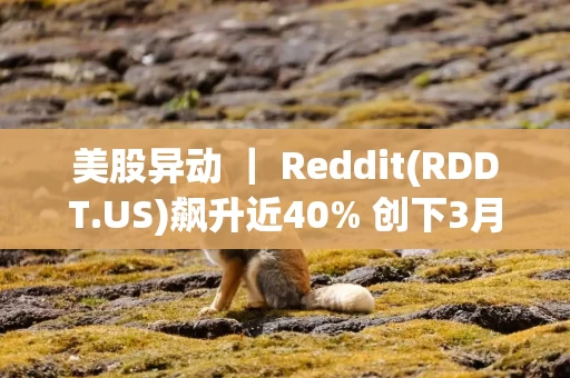 美股异动 ｜ Reddit(RDDT.US)飙升近40% 创下3月份以来最大涨幅