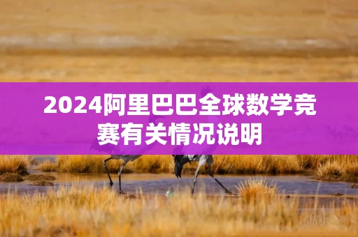 2024阿里巴巴全球数学竞赛有关情况说明