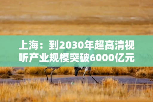 上海：到2030年超高清视听产业规模突破6000亿元