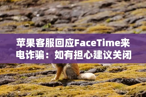 苹果客服回应FaceTime来电诈骗：如有担心建议关闭该功能