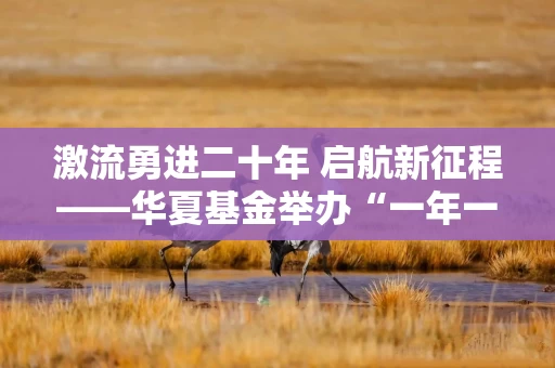 激流勇进二十年 启航新征程——华夏基金举办“一年一度指数大会”