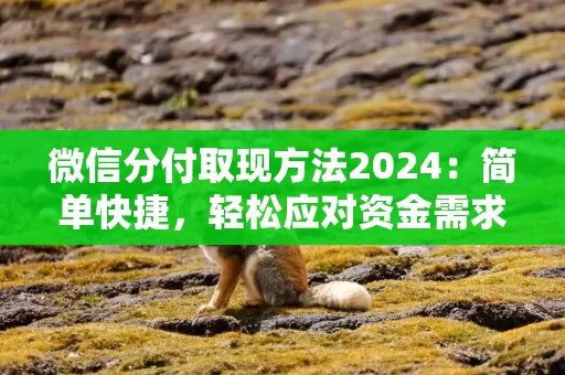 微信分付取现方法2024：简单快捷，轻松应对资金需求！