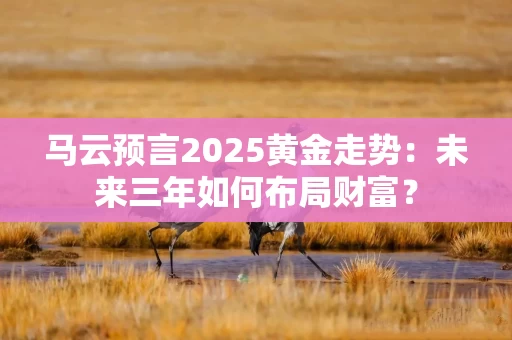 马云预言2025黄金走势：未来三年如何布局财富？