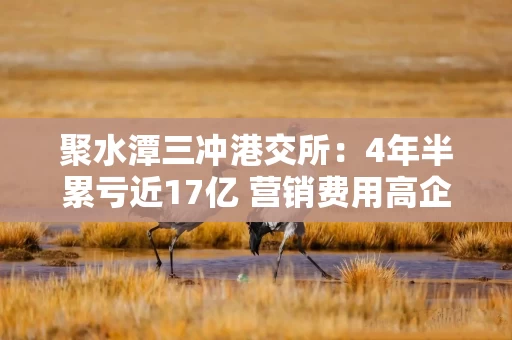 聚水潭三冲港交所：4年半累亏近17亿 营销费用高企但营收、客户规模增长放缓