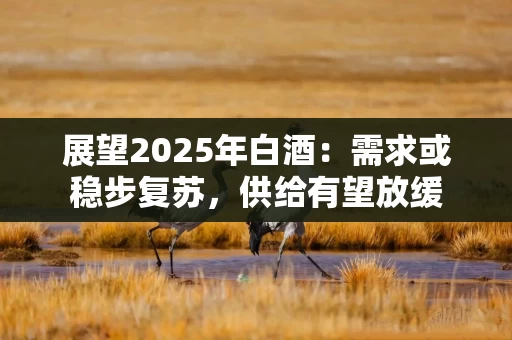 展望2025年白酒：需求或稳步复苏，供给有望放缓