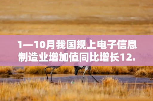 1—10月我国规上电子信息制造业增加值同比增长12.6%