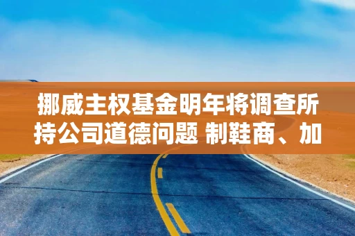 挪威主权基金明年将调查所持公司道德问题 制鞋商、加密公司、博彩运营商或面临撤资