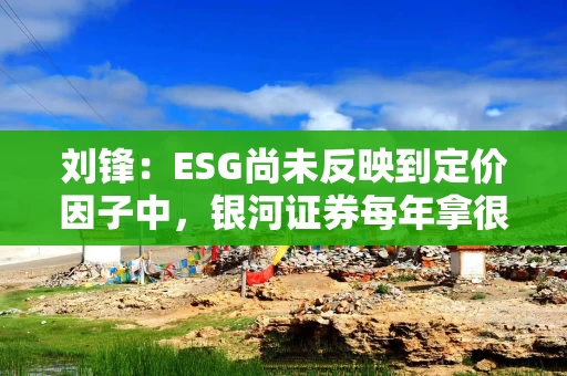 刘锋：ESG尚未反映到定价因子中，银河证券每年拿很多钱扶贫，财务报表怎么体现？