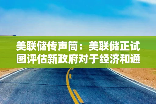 美联储传声筒：美联储正试图评估新政府对于经济和通胀的影响