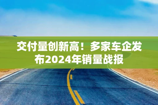 交付量创新高！多家车企发布2024年销量战报