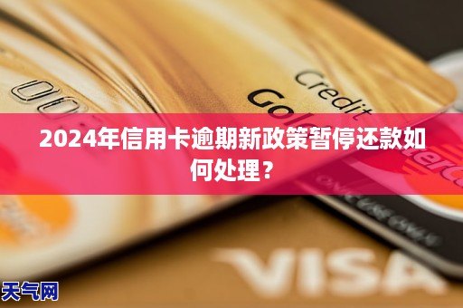 2024年信用卡逾期新政策暂停还款如何处理？