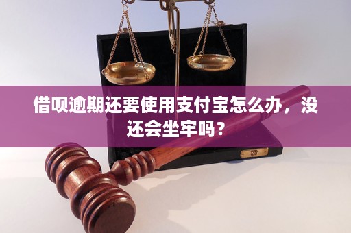 借呗逾期还要使用支付宝怎么办，没还会坐牢吗？