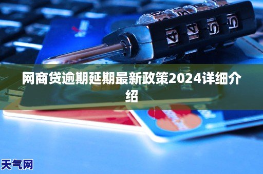 网商贷逾期延期最新政策2024详细介绍