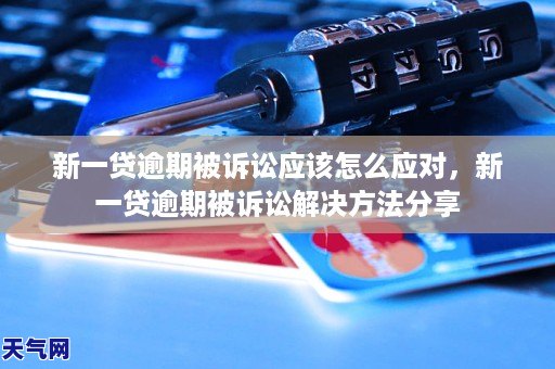 新一贷逾期被诉讼应该怎么应对，新一贷逾期被诉讼解决方法分享